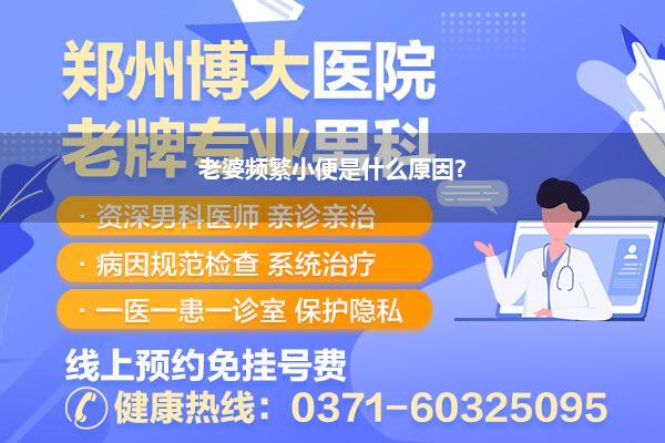 频繁小便是什么原因_问题 晚上小便频繁是什么原因好多年了...