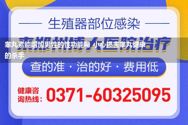 睾丸素能增加男性的性功能吗_小心损害睾丸健康的杀手